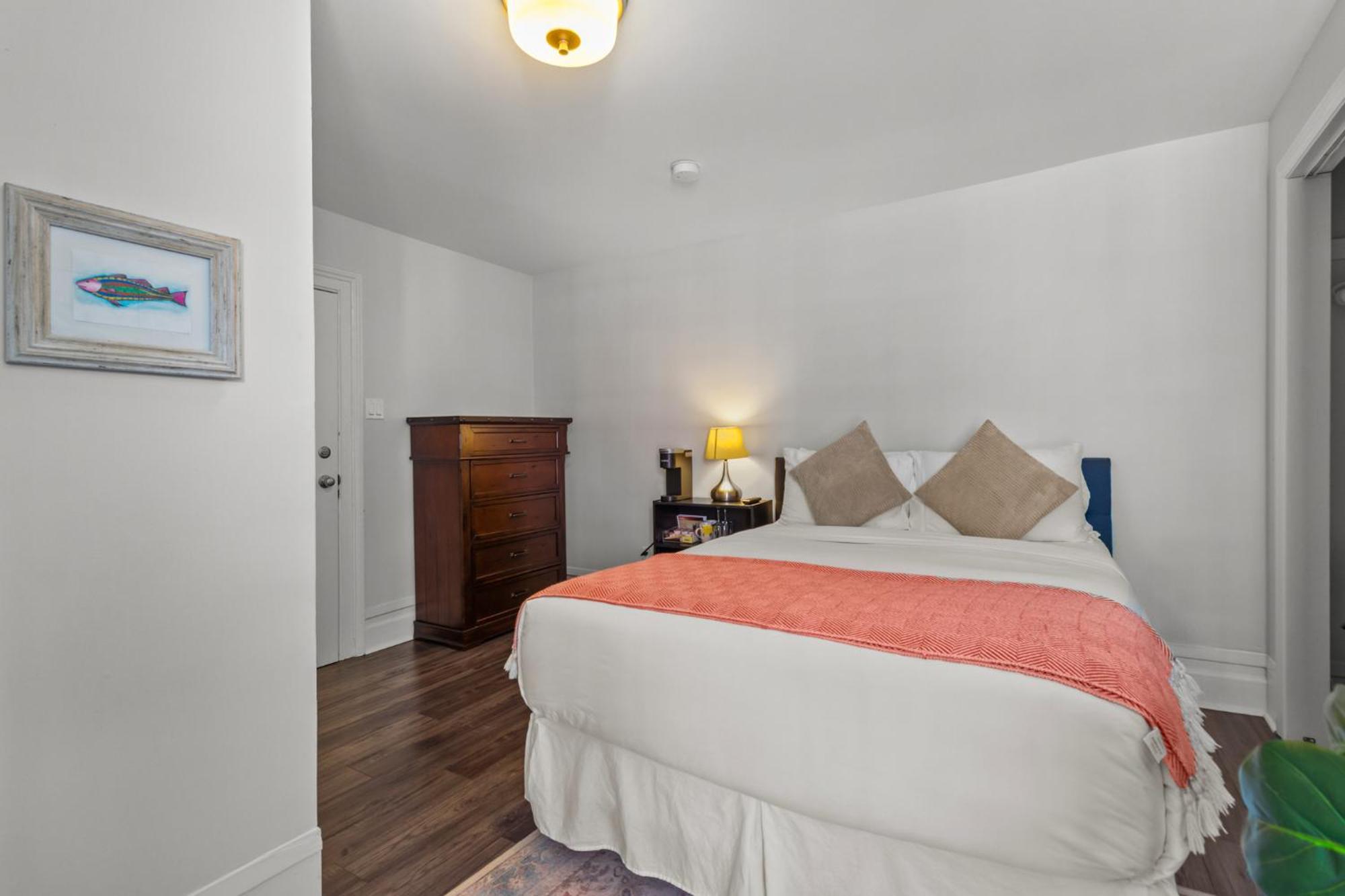Mckay Manor On Duckworth Hotell St. John's Eksteriør bilde